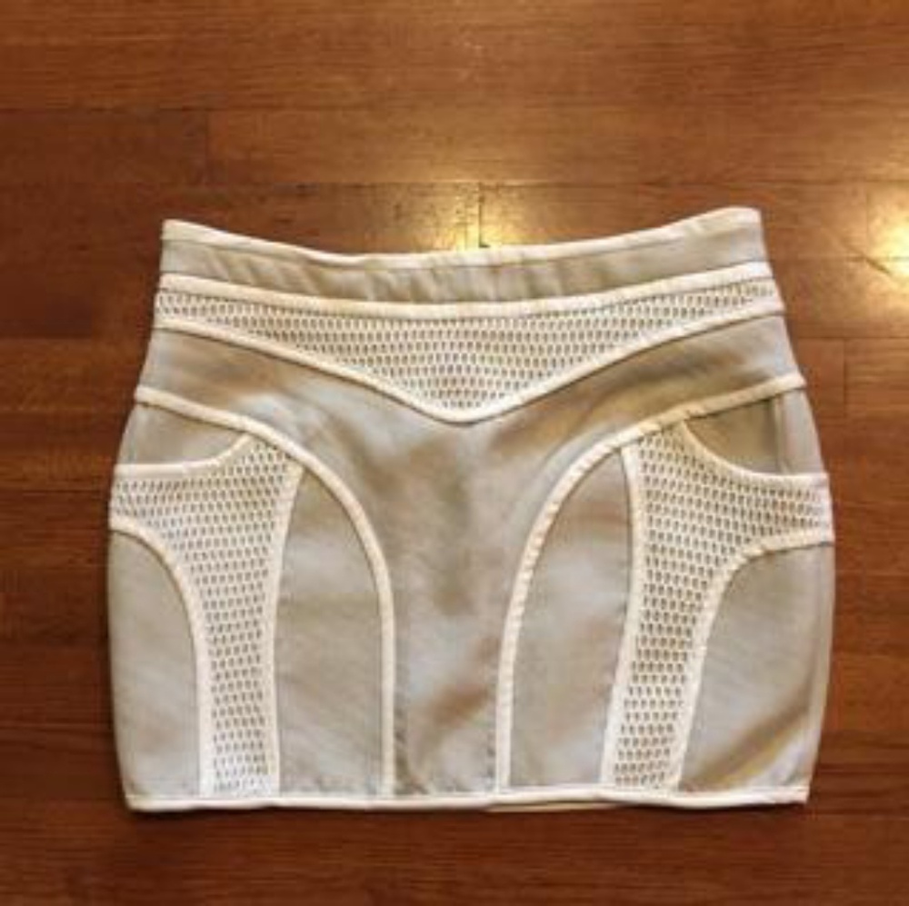 Endless Rose Mini Skirt